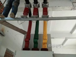 滨州海能化工10KV/4000A